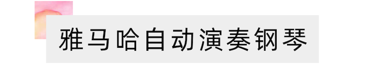 活动报道 | “科技助力，跨越时空”，小鹿纯子携手刘明康共享中日音乐盛宴